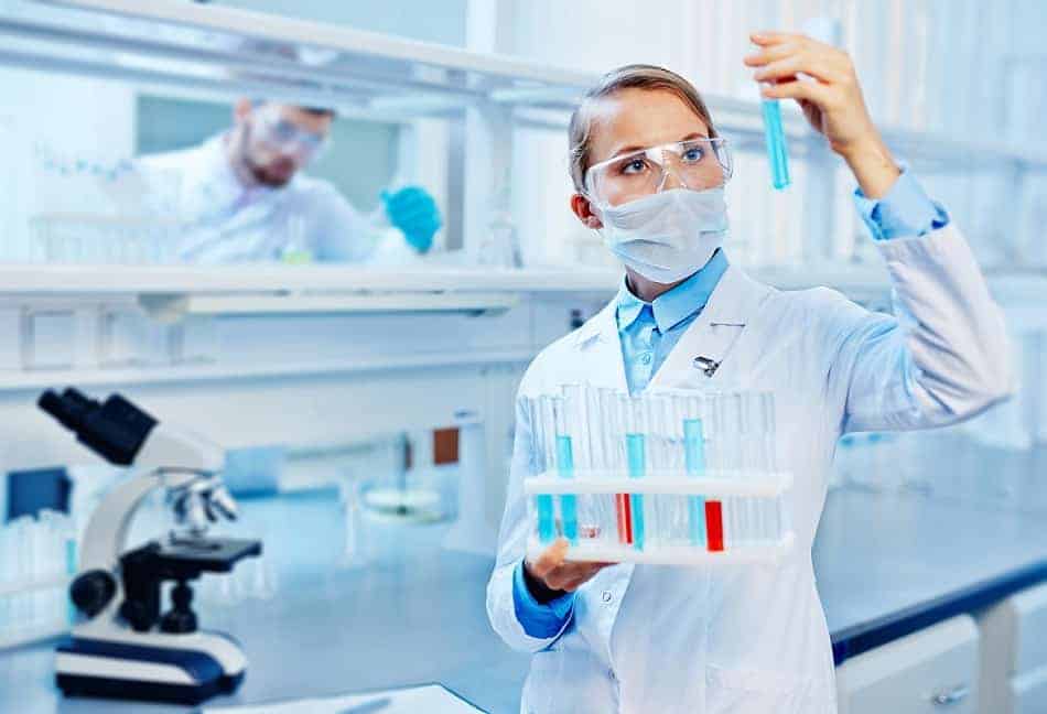 Bioscience Dissertation Proofreading Services Bioscience Proofreading Services